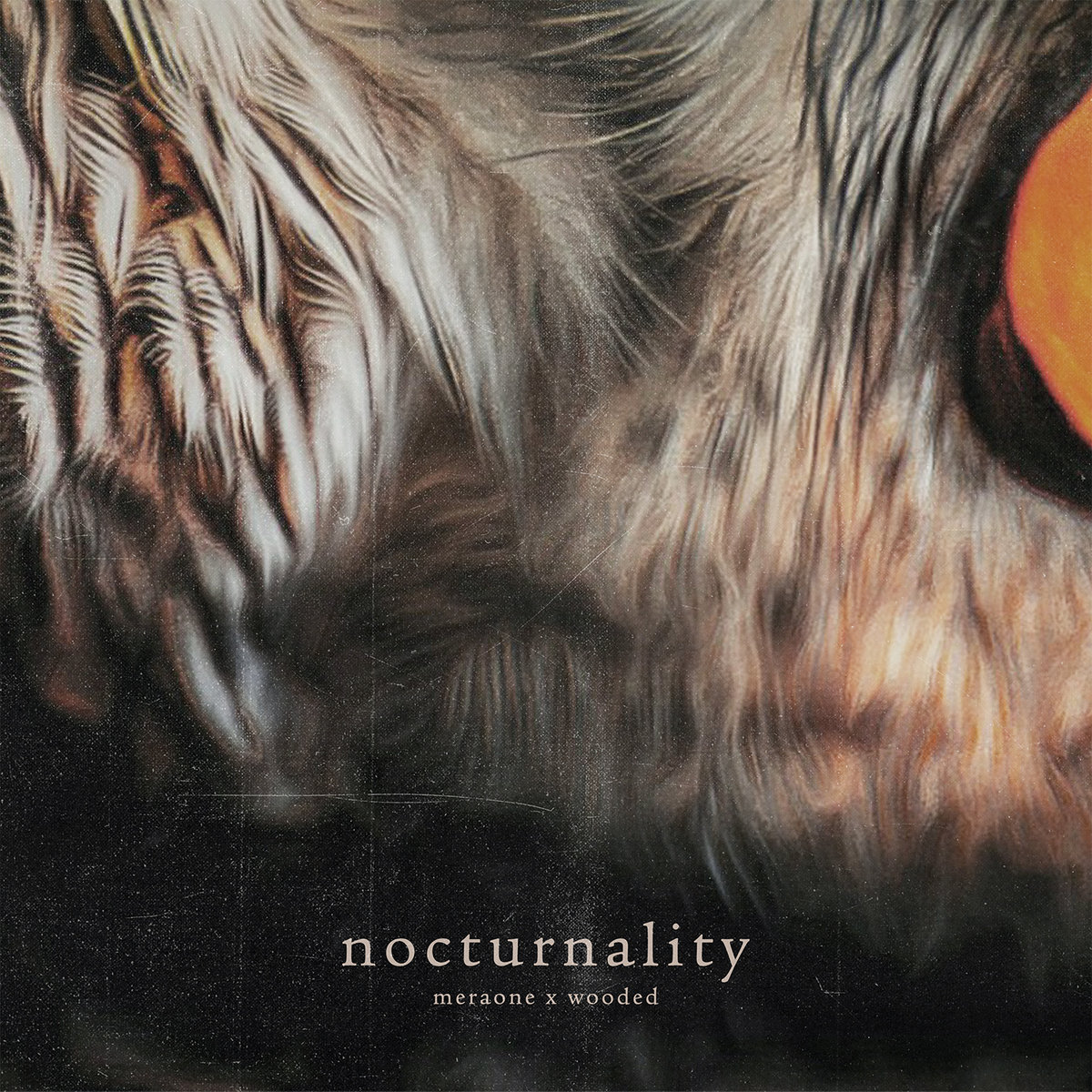 Nocurnality Artwork