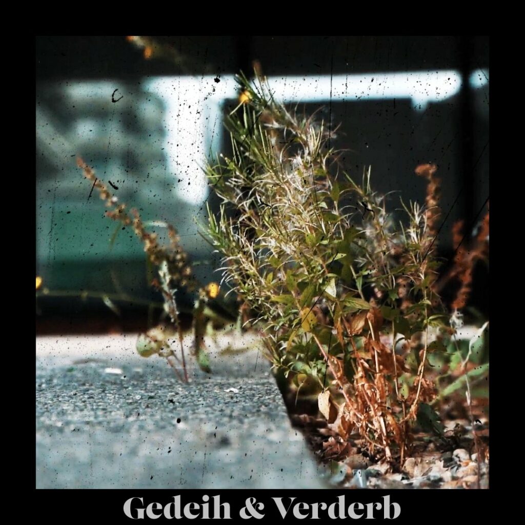 Gedeih & Verderb